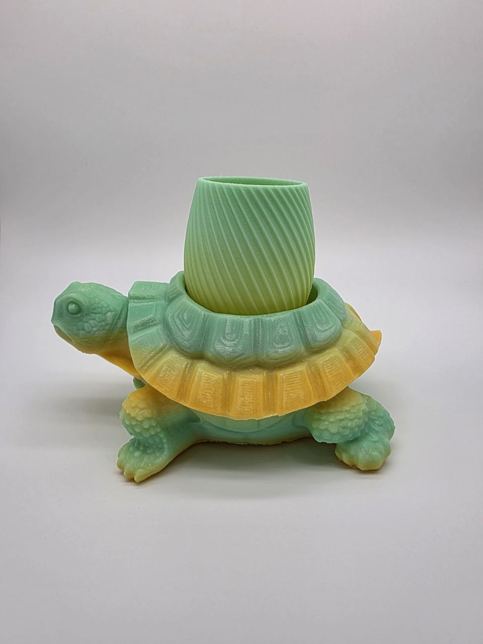 🌈 Rainbow Turtle Planter – Unique 3D Printed Pot 🐢✨ Srarry Sea