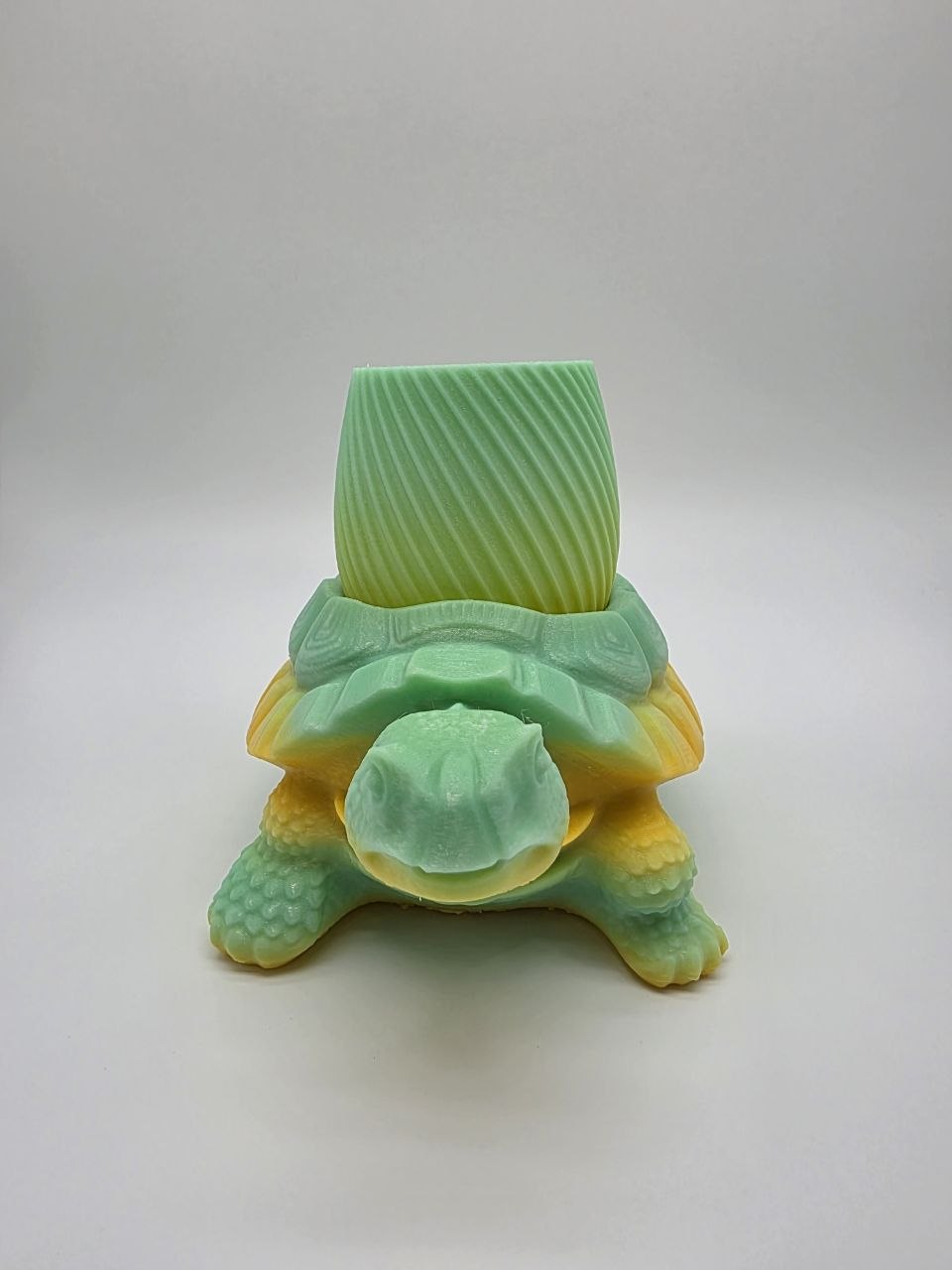 🌈 Rainbow Turtle Planter – Unique 3D Printed Pot 🐢✨ Srarry Sea