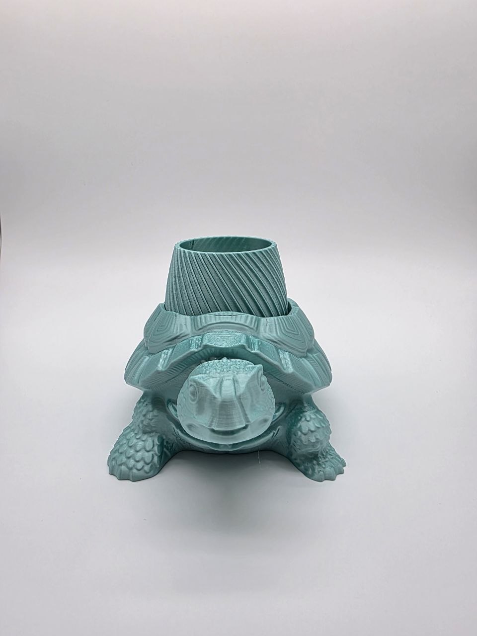 🌈 Rainbow Turtle Planter – Unique 3D Printed Pot 🐢✨Glossy Green