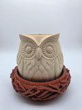 🦉 Owl in the Nest Planter 🌿✨