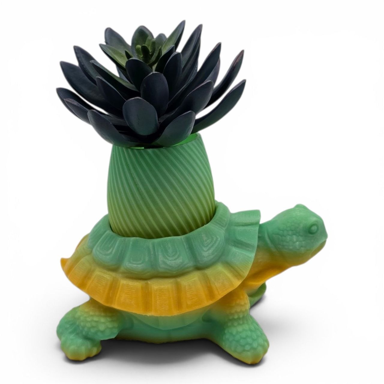 🌈 Rainbow Turtle Planter – Unique 3D Printed Pot 🐢✨ Srarry Sea