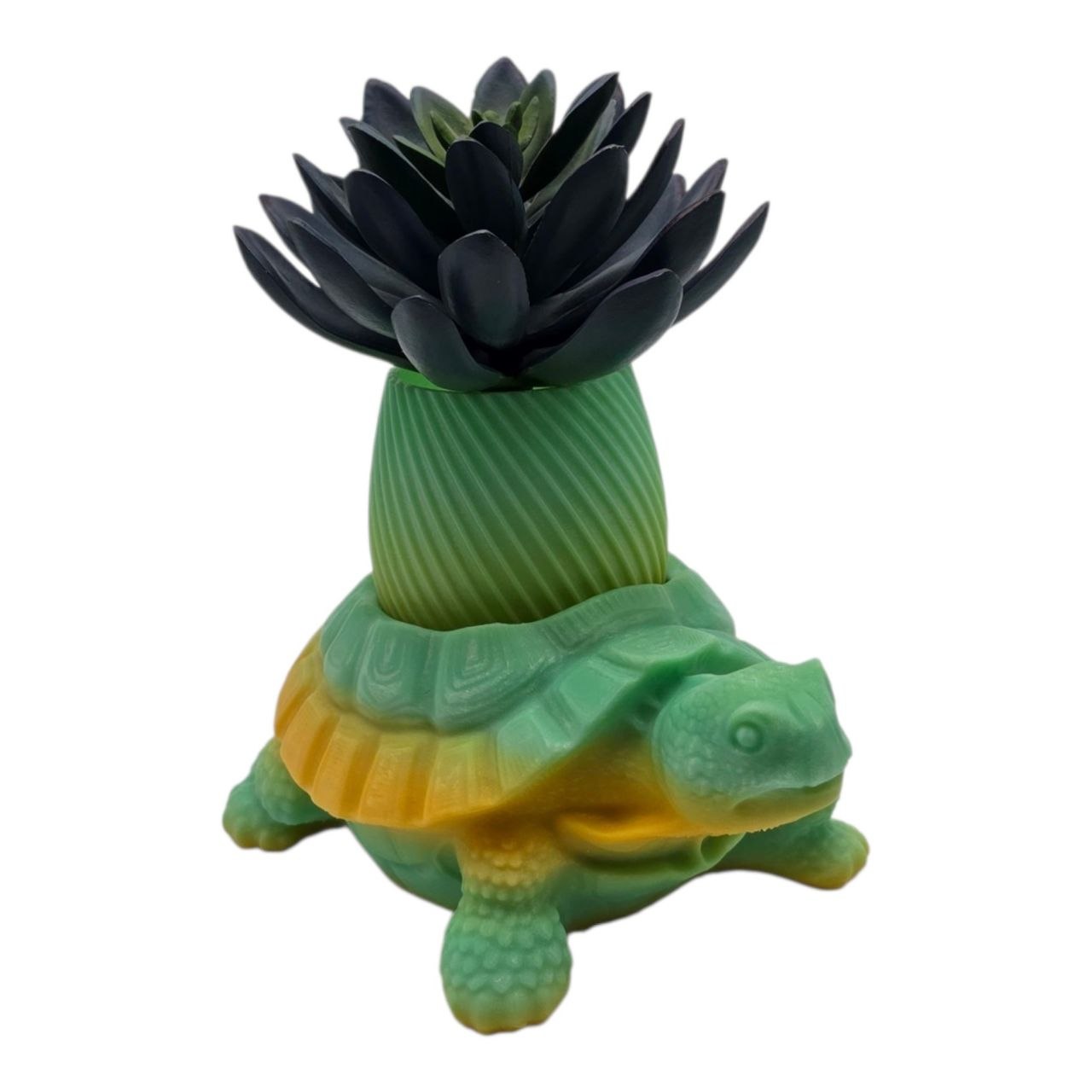 🌈 Rainbow Turtle Planter – Unique 3D Printed Pot 🐢✨ Srarry Sea