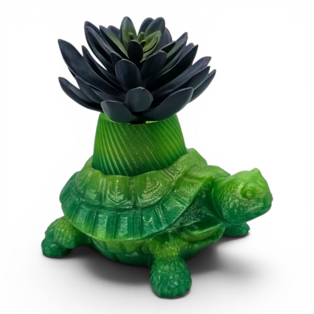 🌈 Rainbow Turtle Planter – Unique 3D Printed Pot 🐢✨Glass Forest