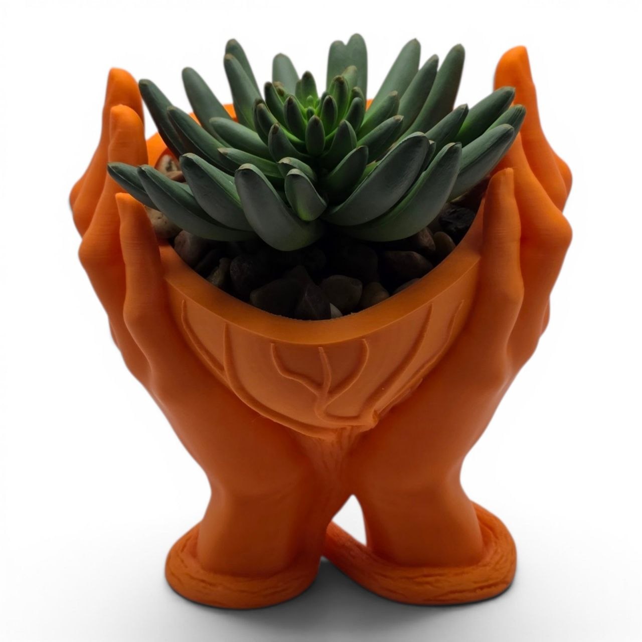 💚 Heart Hands Vase 🖐️🌿