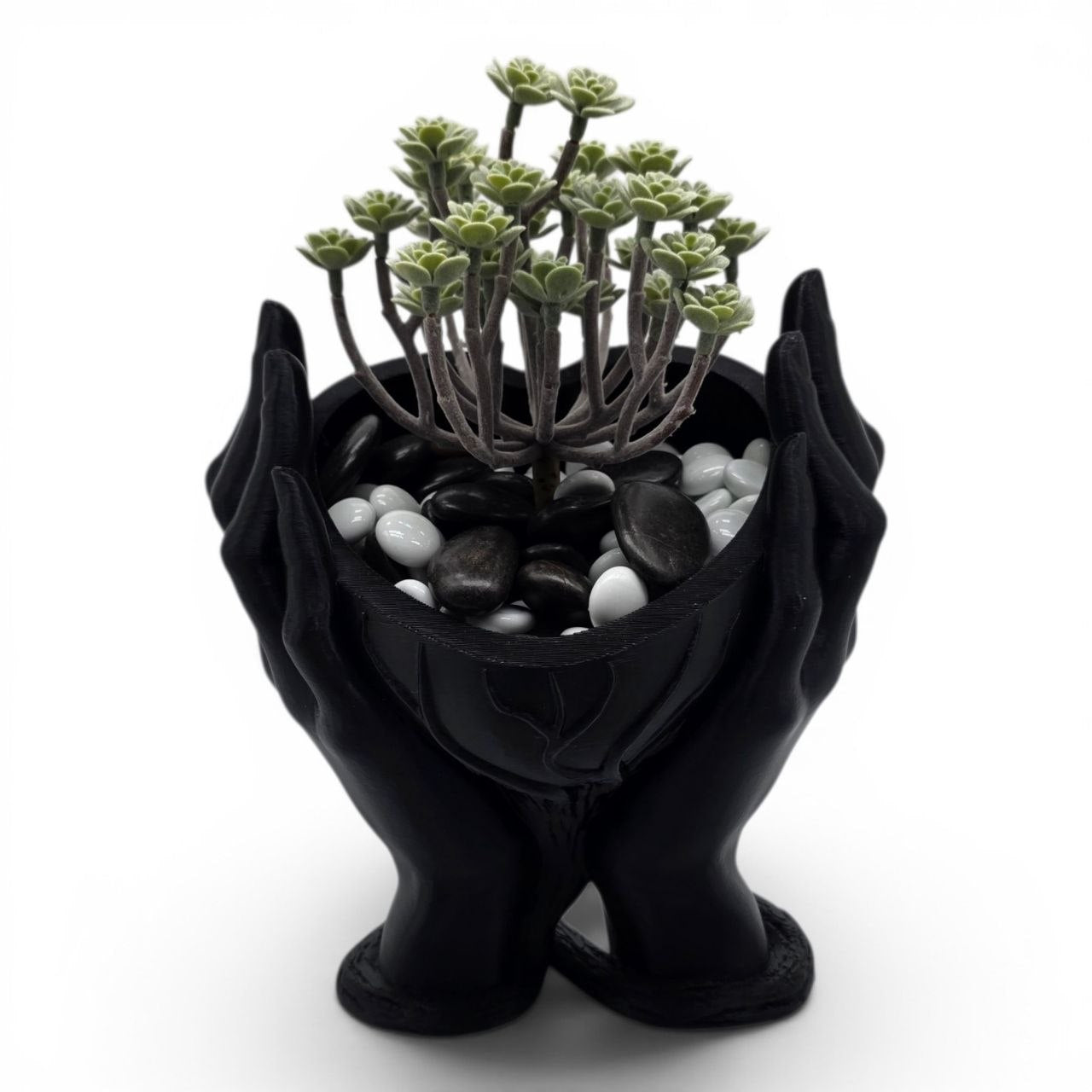 💚 Heart Hands Vase 🖐️🌿